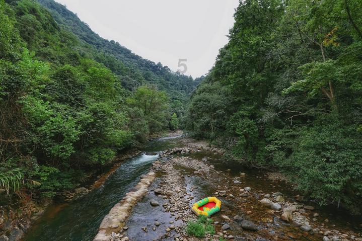 摇摆直升机比赛